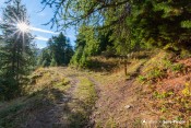 piste forestiere bifurcation pour sentier col de la rousse