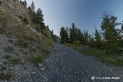 piste forestiere montee apres les clotasses sentier meale