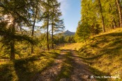piste forestiere sentier col de la rousse