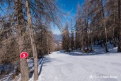 piste rouge fond claire
