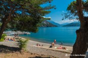 plage bois vieux