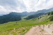prairies vallon morgon