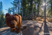 premier rayons sur ours boscodon