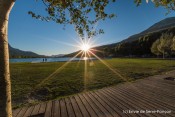promenage plancher bois sous arbres