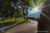 puit de lumiere dans jardin archeveche