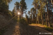 rayon soleil depuis virage piste platriere sentier meale