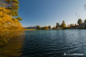 restaurant lac saint apollinaire
