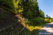 rondins depart sentier echelle