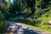 route forestiere bifurcation sentier echelle