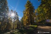 route forestiere sous pre clos soleil