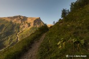 sentier distroit mont pelve petit matin