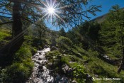 sentier eau crachet