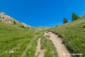 sentier vert sous morgon