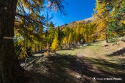 seyeres en vue