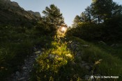 soleil levant sur sentier crachet