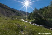 soleil vallon crachet