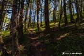 sortie foret sous portes morgon sentier echelle