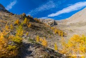 vallon au dessus seyeres fin foret