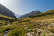 vallon distroit clot egout