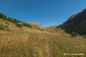 vallon distroit tete maitz au loin