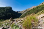 vue col reyssas et tete cabane depuis sentier col tourettes