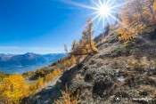 vue globale vallon seyeres soleil dore