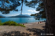 vue lac depuis plage bois vieux