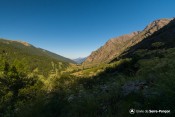 vue sur crevoux depuis sentier crachet fleurs blanches